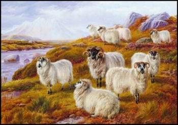 unknow artist Sheep 063 China oil painting art